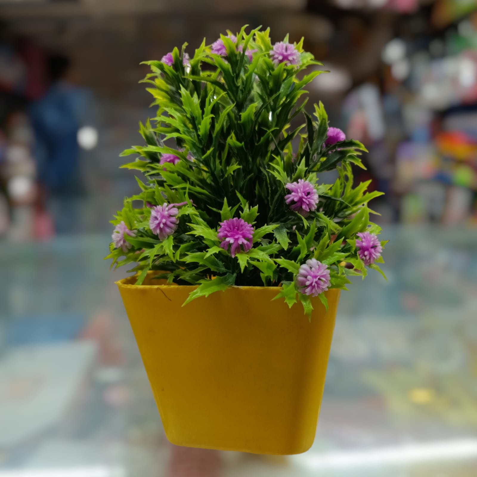 "Dynamic Purple and Green Plant with Yellow Base: Vibrant Contrast for Modern Spaces"